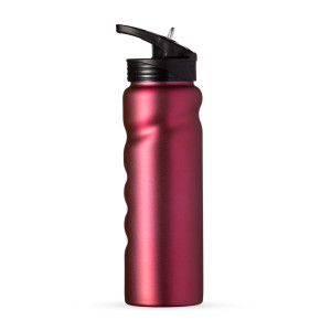 Squeeze Inox 750ml